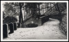 Lovers' Walk, Todmorden.