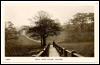 Well Head Fields, Halifax.