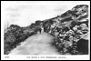 The Rocks & New Promenade, Halifax.