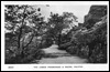 Lower Albert Promenade & Rocks, Halifax.