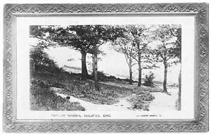 Copley Woods, Halifax (Document ID: 100173)