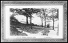 Copley Woods, Halifax. (Document ID: 100173)