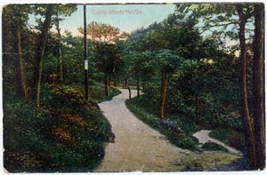 Copley Woods, Halifax (Document ID: 100174)