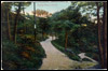 Copley Woods, Halifax. (Document ID: 100174)