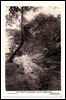 Stream, Blackburn Valley, Greetland.