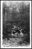 Walshaw Footbridge, Hardcastle Crags, Nr Halifax.
