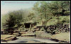Fisherman's Hut, Hardcastle Crags. (Document ID: 100227)