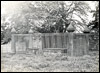 Postcard - Mono (Document ID: 100235)