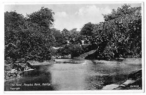 Pond, Peoples Park, Halifax