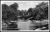 Pond, Peoples Park, Halifax.