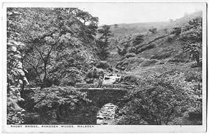 Ragby Bridge, Ramsden Woods, Walsden
