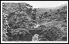 Ragby Bridge, Ramsden Woods, Walsden.
