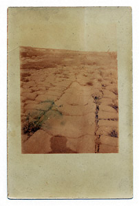 Postcard - Mono (Document ID: 100304)