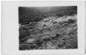 Postcard - Mono (Document ID: 100305)