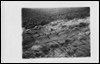 Postcard - Mono (Document ID: 100305)