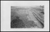 Postcard - Mono (Document ID: 100306)