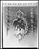 Postcard - Mono (Document ID: 100313)