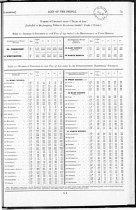 Census of Yorkshire 1861, ages of the people in registration or Union Ridings, and in Superintendent Registrars' districts (Document ID: 100501)
