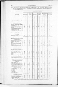 Census of Yorkshire 1881, occupations of males and females (Document ID: 100536)