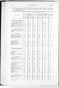 Census of Yorkshire 1881, occupations of males and females (Document ID: 100538)