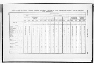 Census of Yorkshire 1881, numbers and birthplaces of foreigners