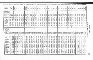 Census of Yorkshire 1901, ages of males and females in County Boroughs, Municipal Boroughs and other Urban Districts (Document ID: 100587)