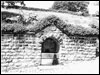 Photograph - Mono (Document ID: 100734)