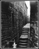 Photograph - Mono (Document ID: 100746)