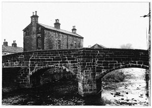 Photograph - Mono (Document ID: 100753)