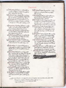 Domesday Book, Yorkshire (Document ID: 100824)