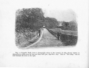 Caygill's Walk