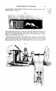 Children's Employment Commission First Report of the Commissioners (Mines) (Document ID: 100911)