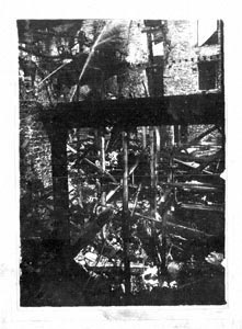 Photograph - Mono (Document ID: 101040)