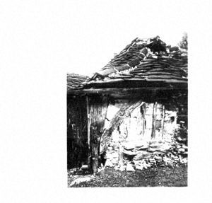 Photograph - Mono (Document ID: 101042)