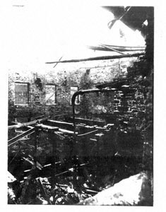 Photograph - Mono (Document ID: 101045)
