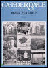 Calderdale What Future?