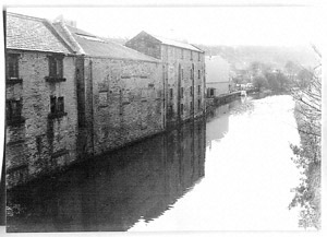 Photograph - Mono (Document ID: 101567)