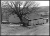 Photograph - Mono (Document ID: 101578)