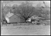Photograph - Mono (Document ID: 101580)
