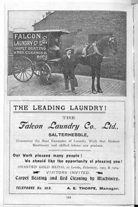The Leading Laundry!