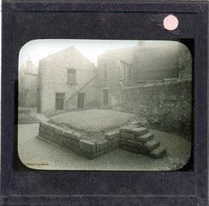 Glass Slide (Document ID: 101755)