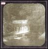 Glass Slide (Document ID: 101768)