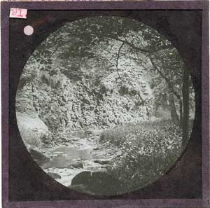 Glass Slide (Document ID: 101769)