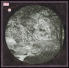 Glass Slide (Document ID: 101769)