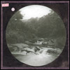 Waterfall, Rough Hey Wood, Triangle. (Document ID: 101771)