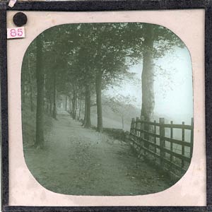 Glass Slide (Document ID: 101776)