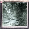 Norland Stream. (Document ID: 101807)