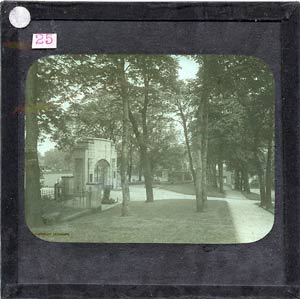 Glass Slide (Document ID: 101835)