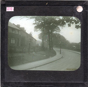 Glass Slide (Document ID: 101840)