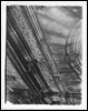 Photograph - Mono (Document ID: 101954)